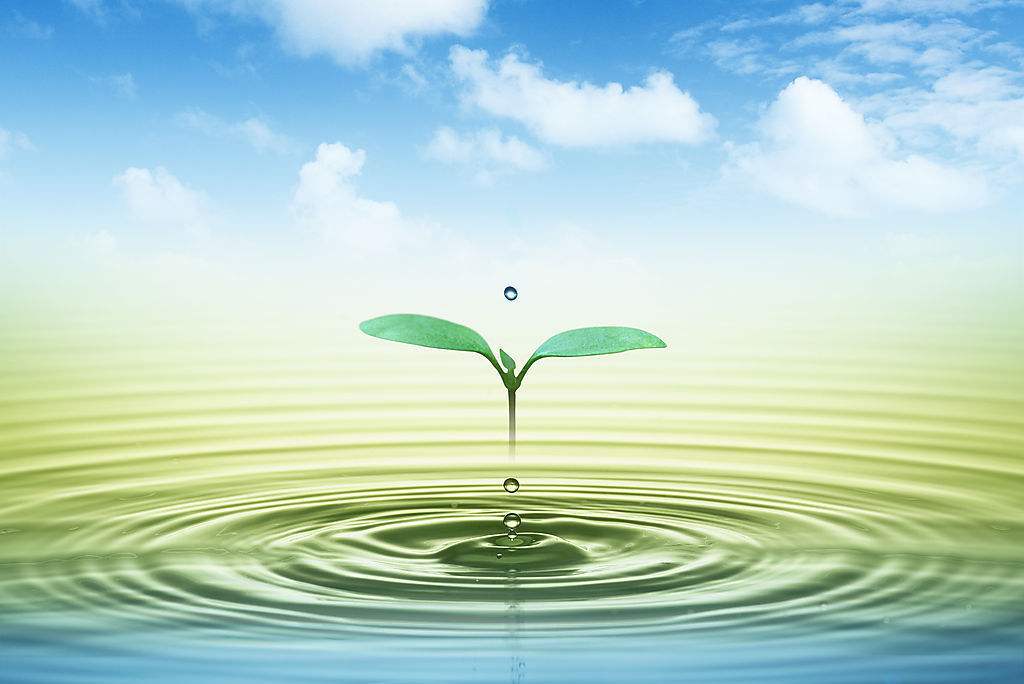 绿色环保水处理剂的应用及发展研究